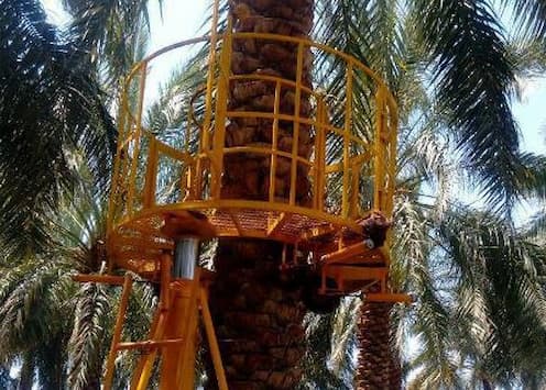 تصویر 2 از خرید و قیمت انواع دستگاه گرده افشانی نخل